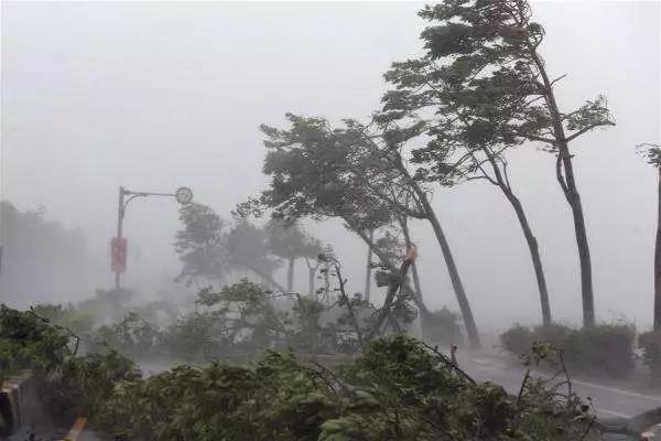 山竹肆掠： 臺風天，光伏電站如何將損失降至最低